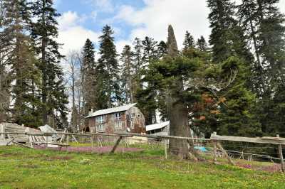 Sinekli Yaylası